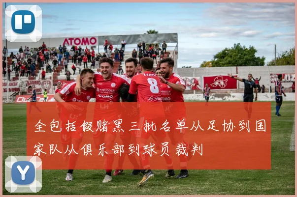 全包括假赌黑三批名单从足协到国家队从俱乐部到球员裁判