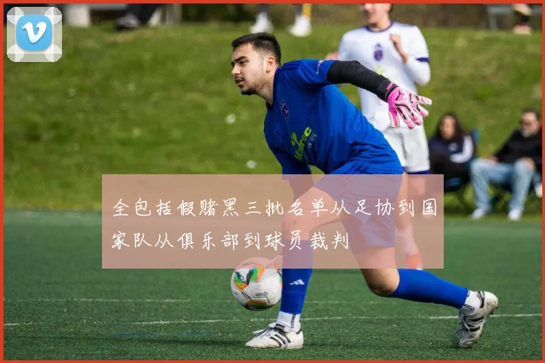 全包括假赌黑三批名单从足协到国家队从俱乐部到球员裁判